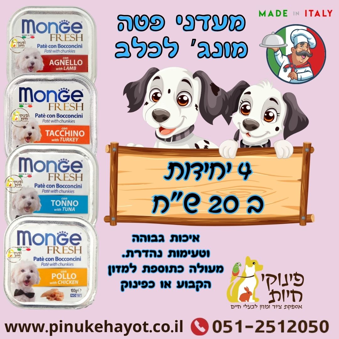 מעדני פטה 4 ב 20 שח